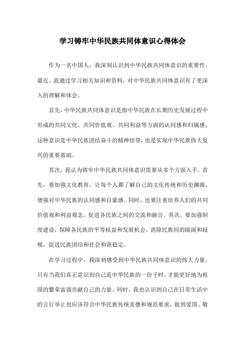 学习铸牢中华民族共同体意识心得体会