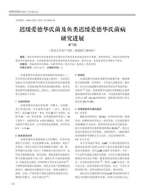 迟缓爱德华氏菌及鱼类迟缓爱德华氏菌病研究进展