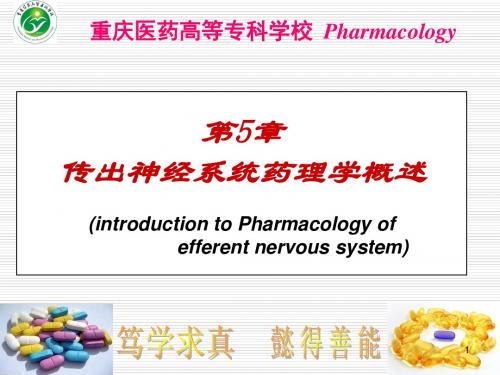 第5章 传出神经系统药理学概述2012928模板