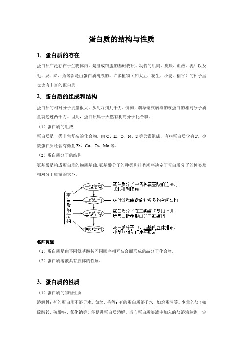 【知识解析】蛋白质的结构与性质