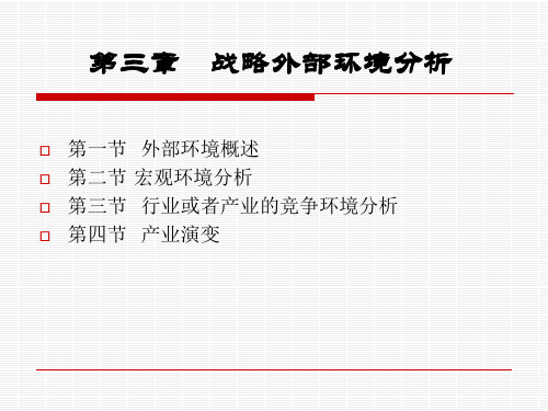 公司战略外部环境分析