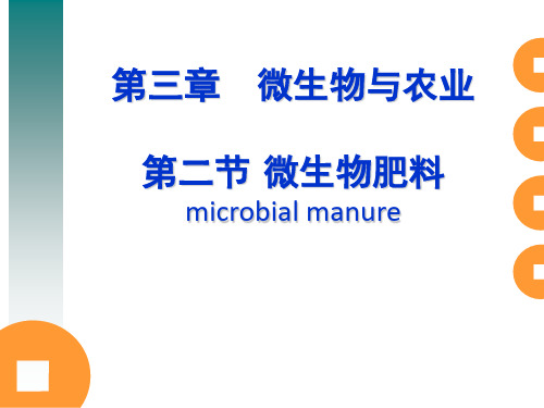 应用微生物第三章 第二讲 现代微生物肥料