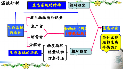 生态系统的稳定性ppt课件