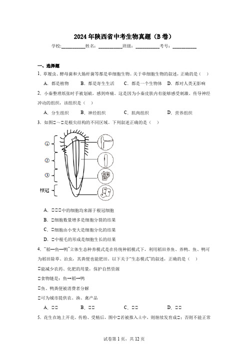 【中考真题】2024年陕西省中考生物试卷(B卷)(附答案)