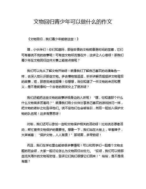 文物回归青少年可以做什么的作文