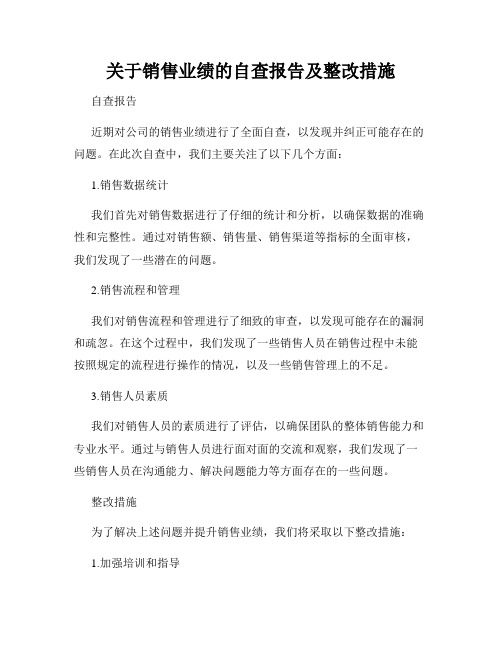 关于销售业绩的自查报告及整改措施