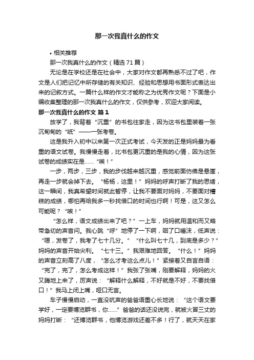 那一次我真什么的作文