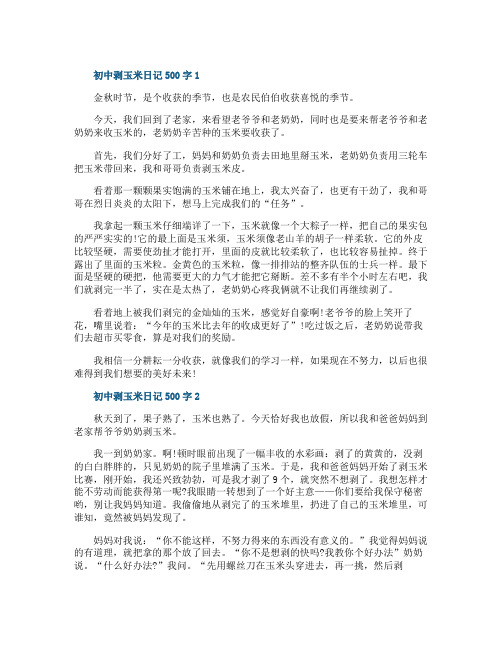 初中剥玉米日记500字
