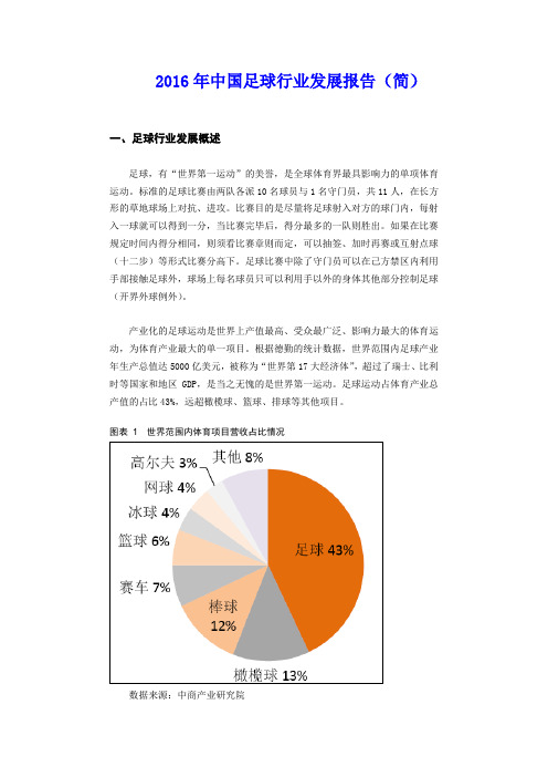 2016年中国足球行业发展报告(简)