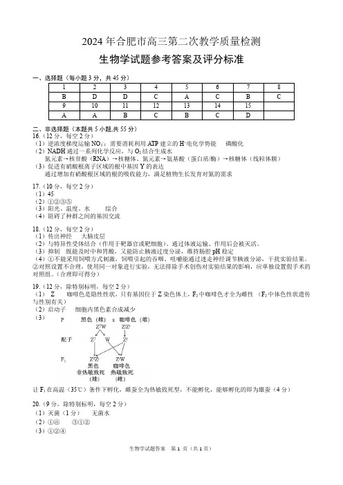 2024年合肥市高三第二次教学质量检测 生物学参考答案