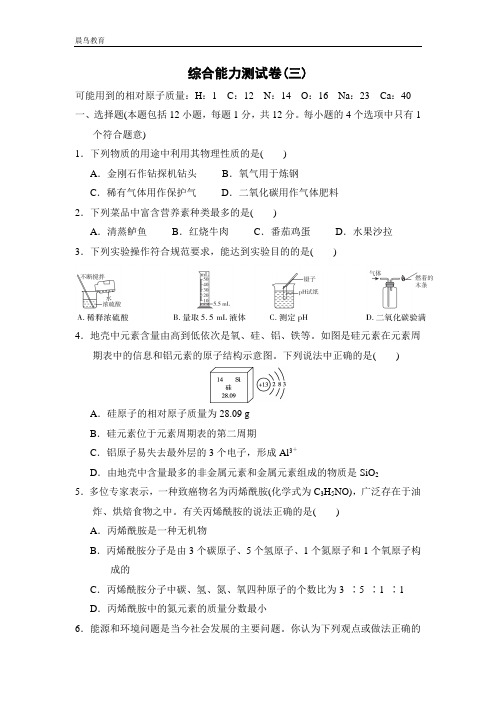 2021春人教版9年级化学下册 综合能力测试卷(三)