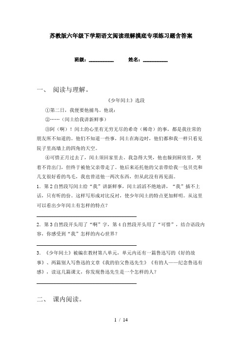 苏教版六年级下学期语文阅读理解摸底专项练习题含答案