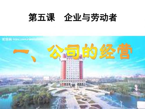 高一政治课件：经济生活 第五课 公司的经营