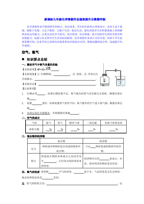 新课标九年级化学寒假作业强效提升分数精华版 (14)