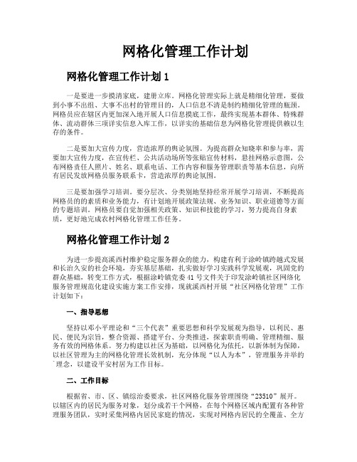 网格化管理工作计划