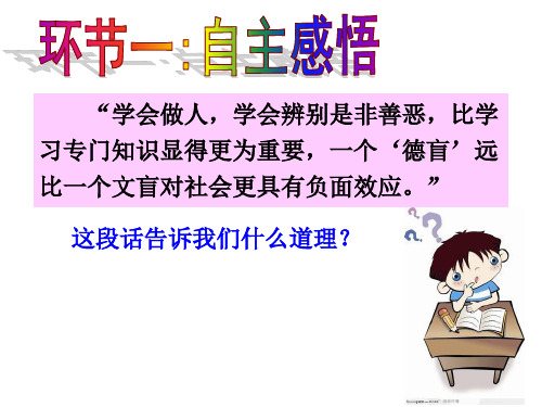 七年级道德与法治下册 第十单元 在社会生活中学会选择