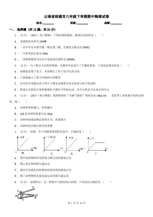 云南省昭通市八年级下学期期中物理试卷