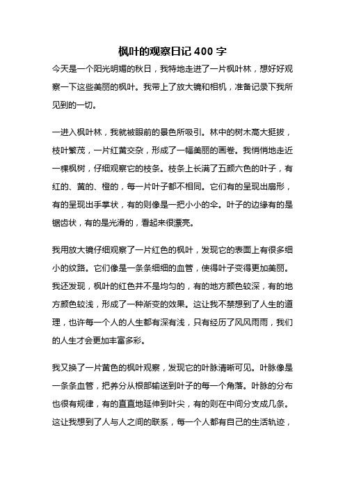 枫叶的观察日记400字