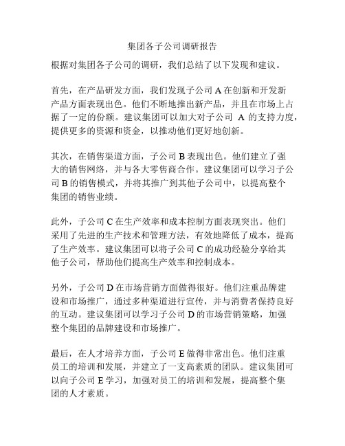 集团各子公司调研报告