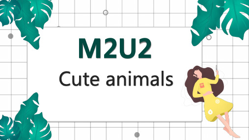 牛津上海版Module2Unit2Cuteanimals课件