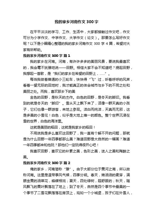 我的家乡河南作文300字4篇