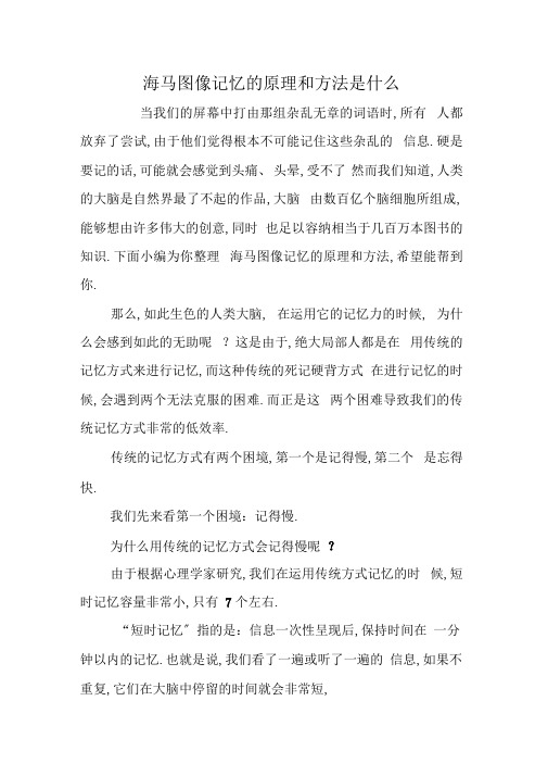 海马图像记忆的原理和方法是什么