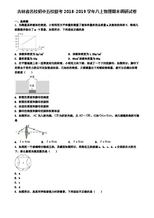 吉林省名校初中五校联考2018-2019学年八上物理期末调研试卷