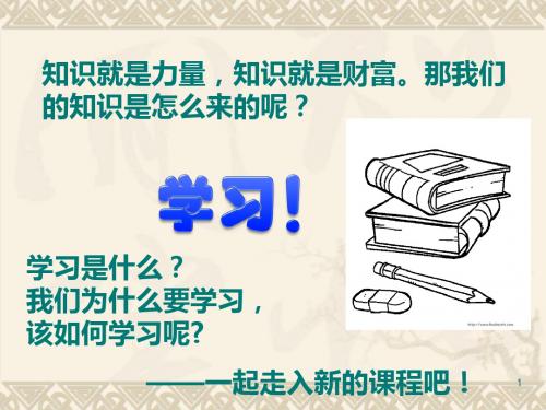 小学生如何正确学习ppt课件