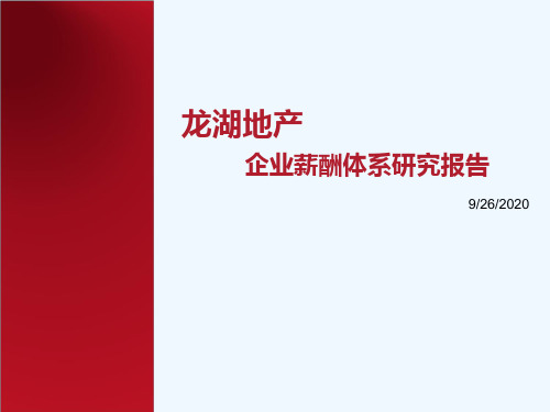 年龙湖地产薪酬体系(内部资料)
