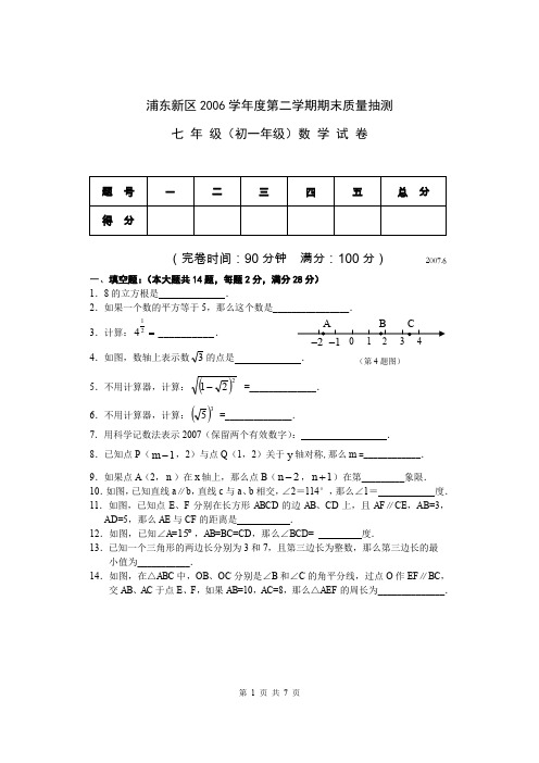 浦东新区2006学年度第二学期期末质量抽测七年级数学试卷