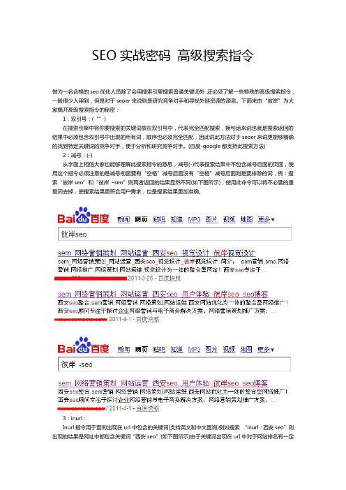 SEO实战密码 高级搜索指令