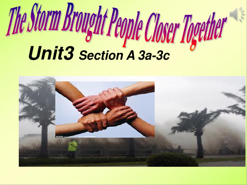 Unit5 The Storm Brought People Closer Together-period2课件