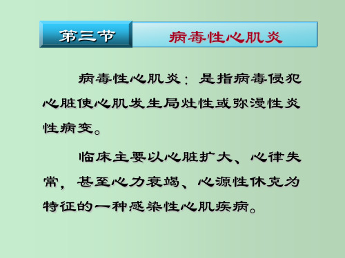 病毒性心肌炎 教学PPT课件