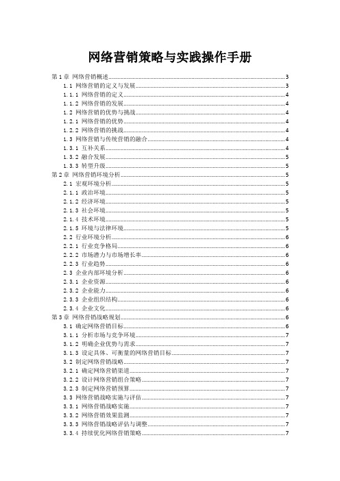 网络营销策略与实践操作手册