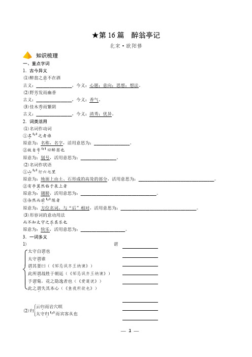 16.中考文言文复习基础与拔高精品 《醉翁亭记》