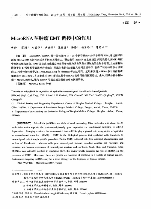 MicroRNA在肿瘤EMT调控中的作用