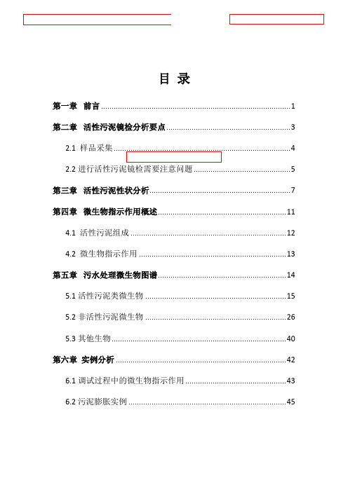 污水处理指示性微生物图谱