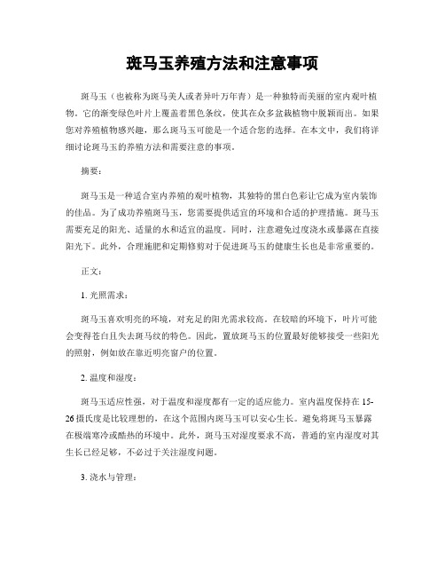 斑马玉养殖方法和注意事项