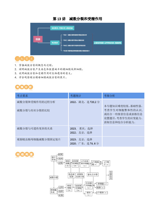 第13讲 减数分裂和受精作用(讲义)-2024年高考生物一轮复习讲练测(新教材新高考)