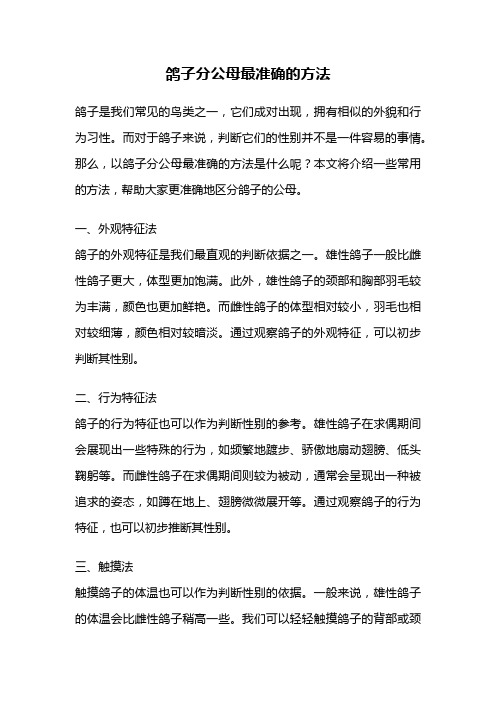 鸽子分公母最准确的方法