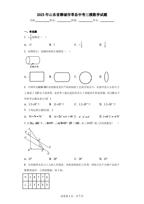 2023年山东省聊城市莘县中考三模数学试题