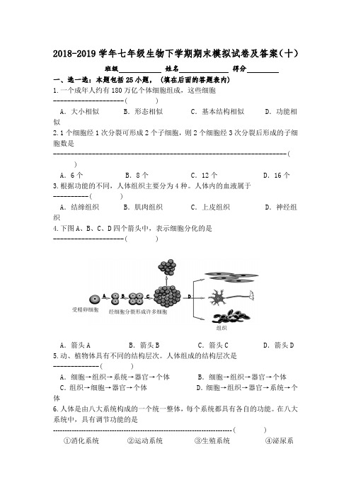 2018-2019学年七年级生物下学期期末模拟试卷及答案(十)