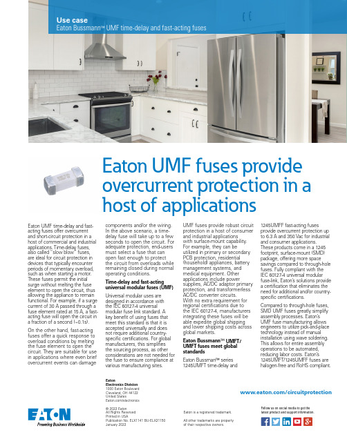 Eaton UMF熔断器产品说明说明书