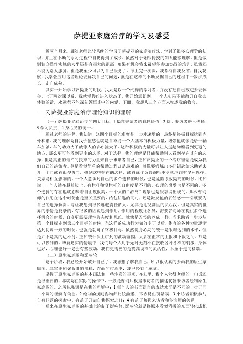 萨提亚家庭治疗的学习及感受