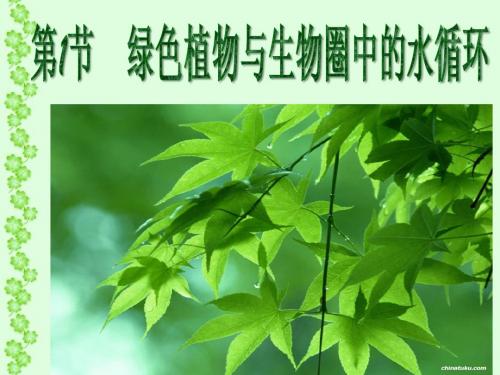 八年级生物绿色植物与生物圈中的水循环