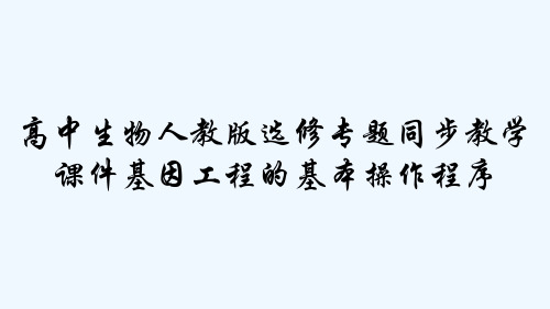 高中生物人教版选修专题同步教学课件基因工程的基本操作程序 PPT