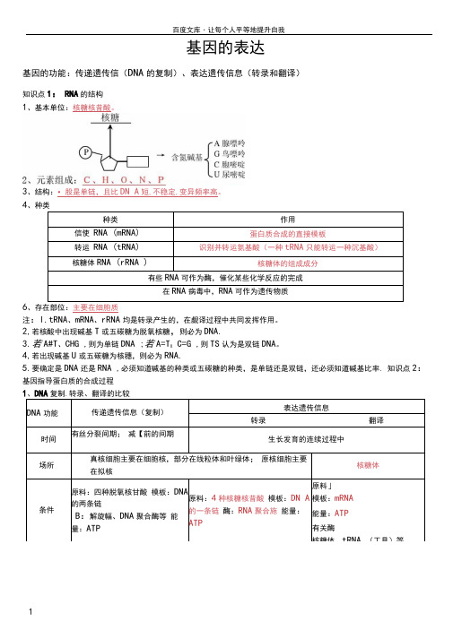 基因的表达一轮复习教学案(教师版)