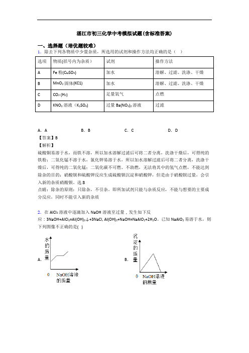 湛江市初三化学中考模拟试题(含标准答案)