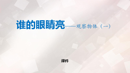 青岛版二年级下册数学《谁的眼睛亮》说课教学复习课件