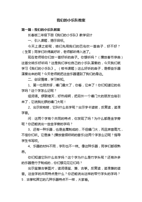 我们的小乐队教案